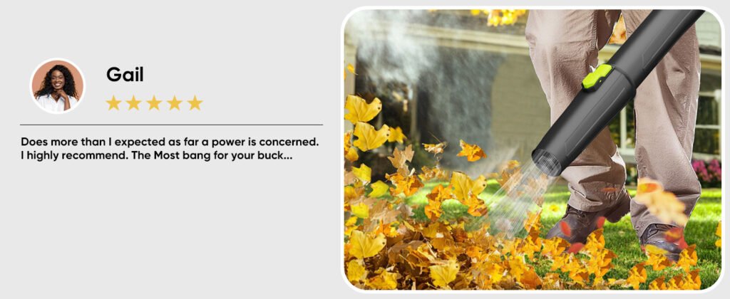 Steelite Leaf Blower Cordless with 2 Battery review