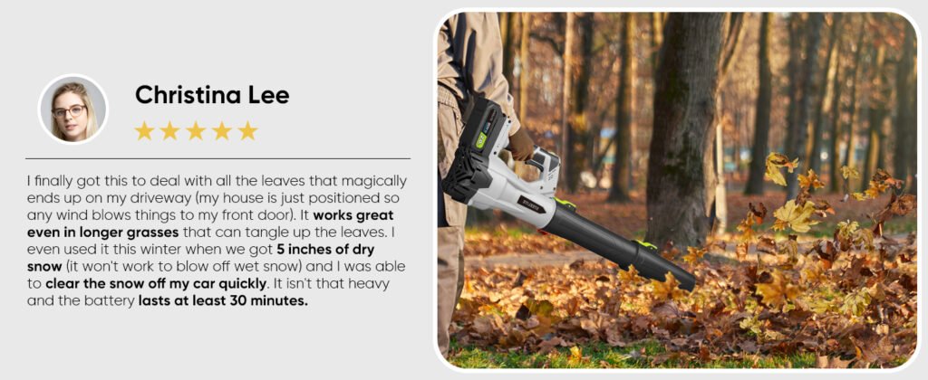 Steelite Leaf Blower Cordless with 2 Battery and Charger Reviews